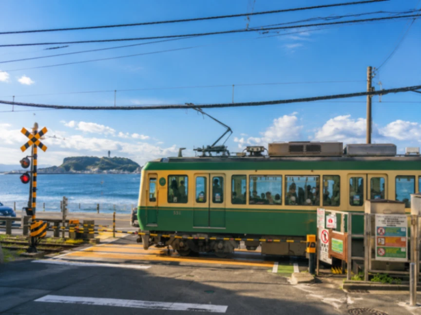Private Day Tour from Tokyo to Kamakura and Enoshima | Kamakura Great Buddha, Tsurugaoka Hachimangu, Enoshima