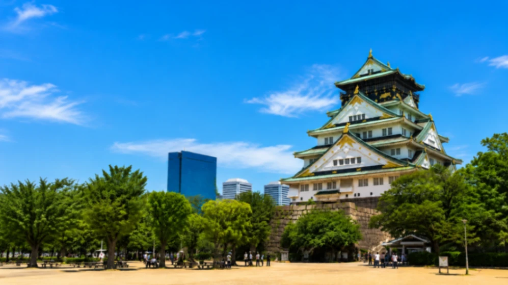Osaka Private Car One-Day Tour | Osaka Castle · Dotonbori · Kurogane Market · Umeda