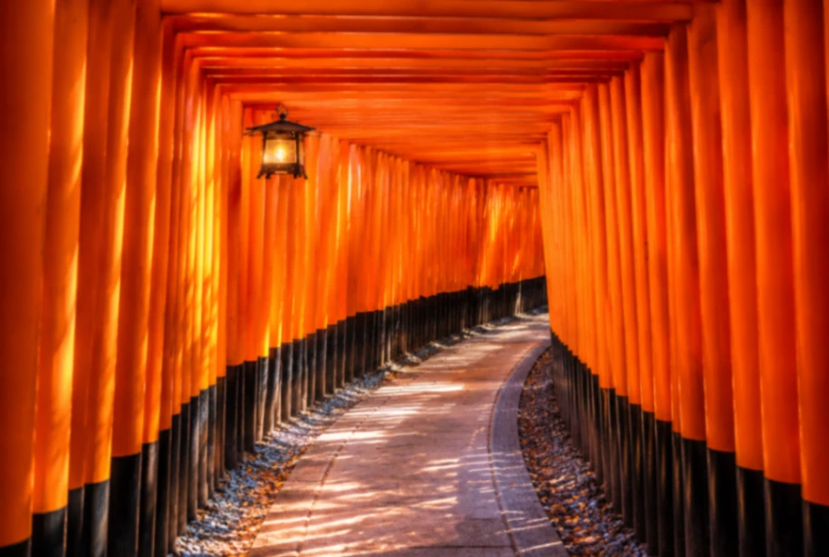 Osaka to Kyoto Private Car Tour One Day | Fushimi Inari Taisha, Kiyomizu-dera, Gion, Arashiyama Bamboo Grove